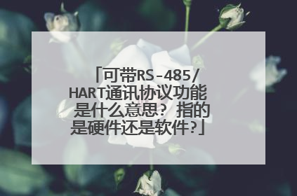 可带RS-485/HART通讯协议功能 是什么意思? 指的是硬件还是软件?