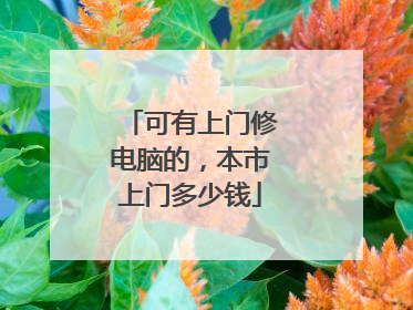 可有上门修电脑的,本市上门多少钱