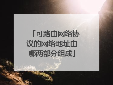 可路由网络协议的网络地址由哪两部分组成
