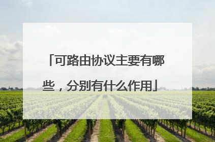 可路由协议主要有哪些,分别有什么作用