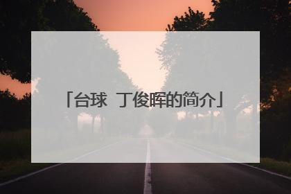台球 丁俊晖的简介