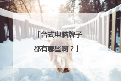 台式电脑牌子都有哪些啊？
