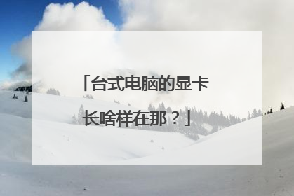 台式电脑的显卡长啥样在那?