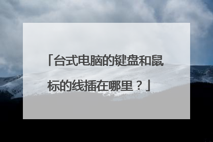 台式电脑的键盘和鼠标的线插在哪里?