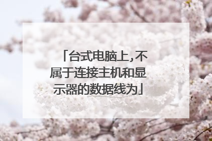 台式电脑上,不属于连接主机和显示器的数据线为