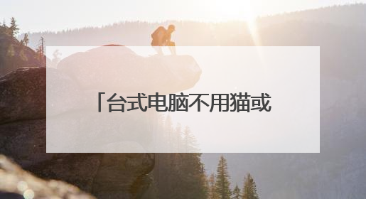 台式电脑不用猫或路由器'直接插网线可以上网吗?