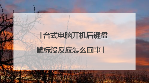 台式电脑开机后键盘鼠标没反应怎么回事