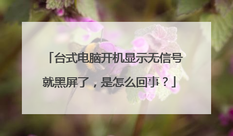 台式电脑开机显示无信号就黑屏了,是怎么回事?