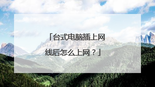 台式电脑插上网线后怎么上网？