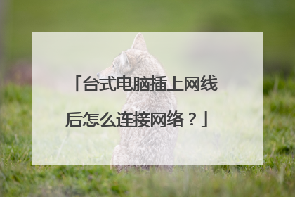 台式电脑插上网线后怎么连接网络？