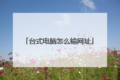 台式电脑怎么输网址