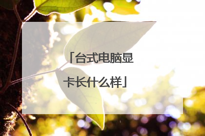 台式电脑显卡长什么样