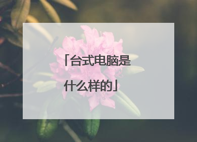 台式电脑是什么样的