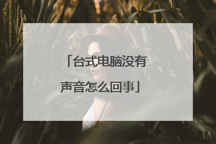台式电脑没有声音怎么回事