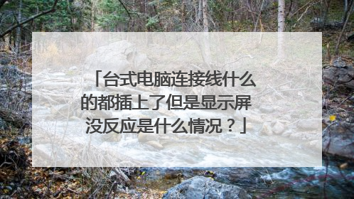 台式电脑连接线什么的都插上了但是显示屏没反应是什么情况？