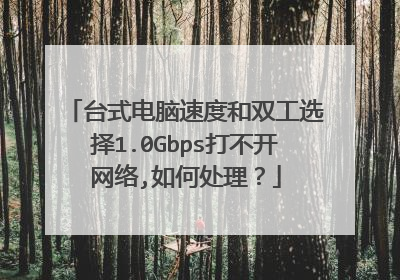 台式电脑速度和双工选择1.0Gbps打不开网络,如何处理?