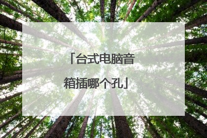 台式电脑音箱插哪个孔
