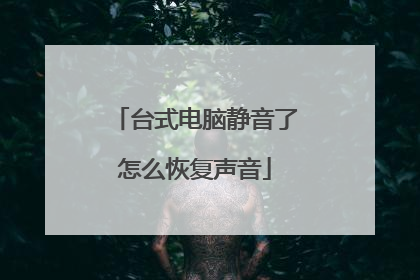 台式电脑静音了怎么恢复声音