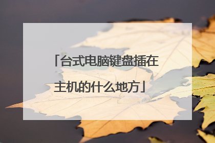 台式电脑键盘插在主机的什么地方