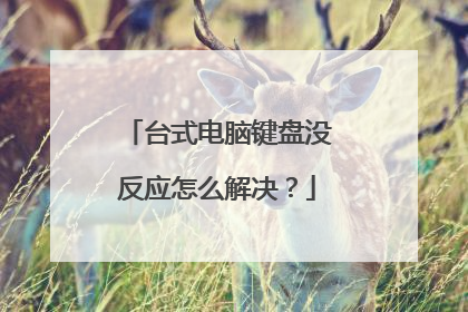 台式电脑键盘没反应怎么解决？