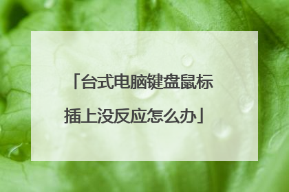 台式电脑键盘鼠标插上没反应怎么办