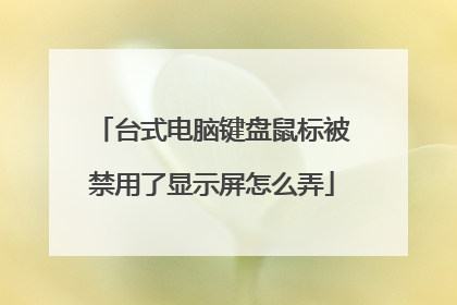 台式电脑键盘鼠标被禁用了显示屏怎么弄