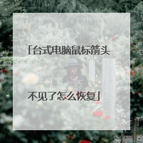 台式电脑鼠标箭头不见了怎么恢复