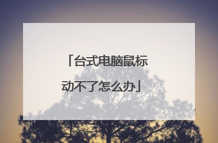 台式电脑鼠标动不了怎么办