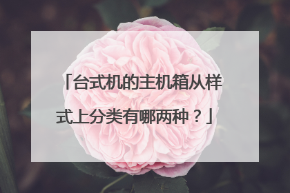 台式机的主机箱从样式上分类有哪两种?