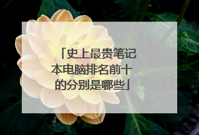 史上最贵笔记本电脑排名前十的分别是哪些