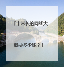 十米长的网线大概要多少钱？