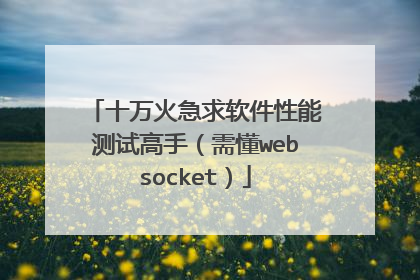 十万火急求软件性能测试高手(需懂websocket)
