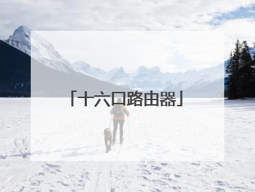 十六口路由器