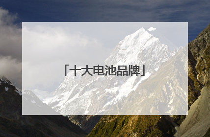 十大电池品牌