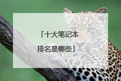 十大笔记本排名是哪些