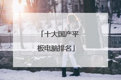十大国产平板电脑排名