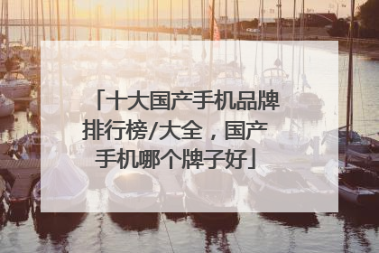 十大国产手机品牌排行榜/大全,国产手机哪个牌子好