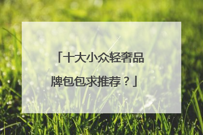 十大小众轻奢品牌包包求推荐?