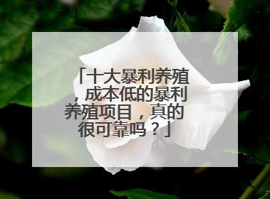 十大暴利养殖，成本低的暴利养殖项目，真的很可靠吗？