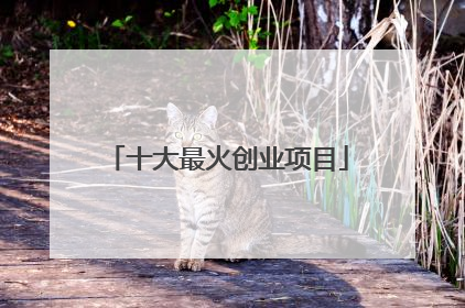 十大最火创业项目
