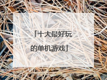十大最好玩的单机游戏