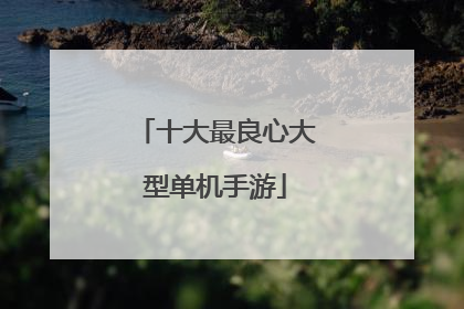 十大最良心大型单机手游