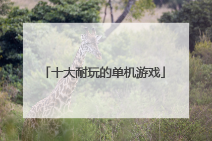 十大耐玩的单机游戏