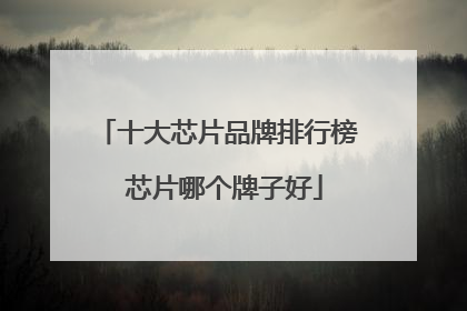 十大芯片品牌排行榜 芯片哪个牌子好