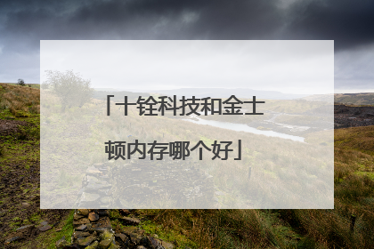 十铨科技和金士顿内存哪个好