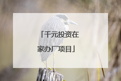 千元投资在家办厂项目