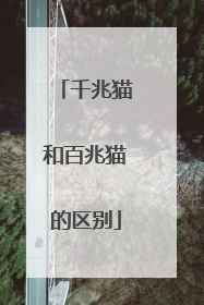 千兆猫和百兆猫的区别
