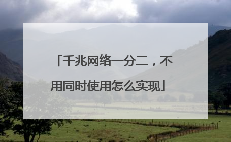 千兆网络一分二，不用同时使用怎么实现