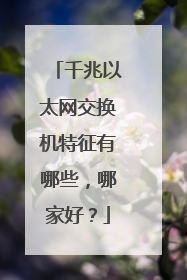 千兆以太网交换机特征有哪些，哪家好？