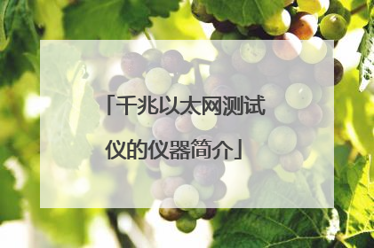 千兆以太网测试仪的仪器简介